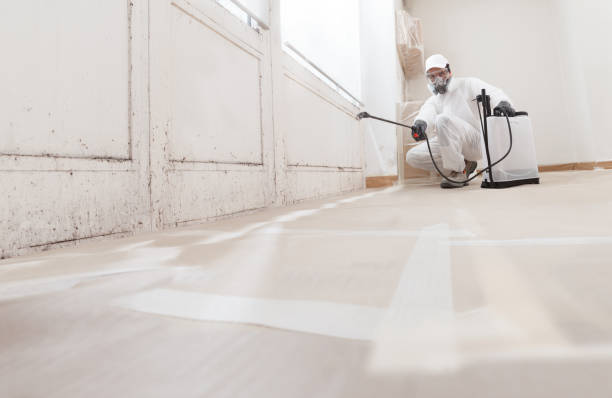 Black mold remediation team in Wellsville